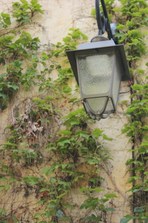 La Cour Villa Lourmarin Kültér fotó